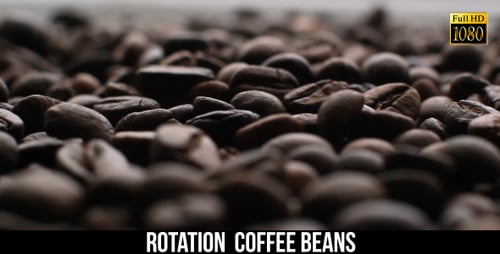 The Coffee Beans 11