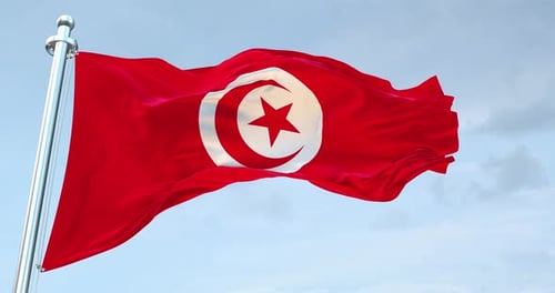 Realistic Tunisia National Flag Waving Seamless Loop