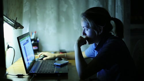 Woman and Laptop 2