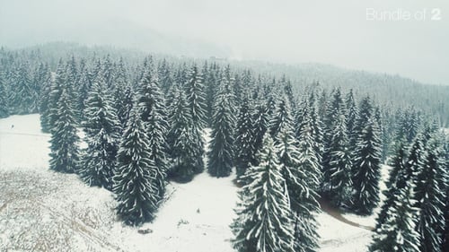 Aerial View of Snowy Winter Forest Landscape