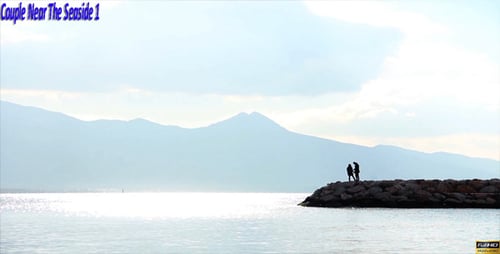 Couple on Rocky Coastline Overlooking Sparkling Ocean