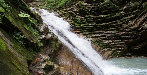 Waterfall in the Forest