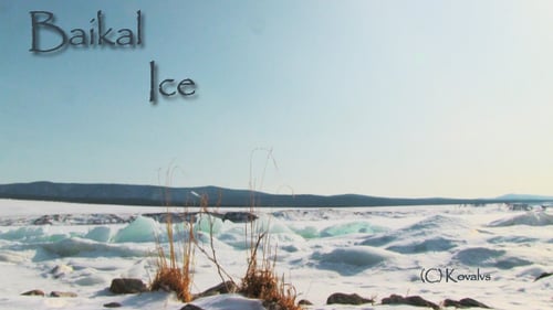 Winter Lake Landscape