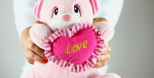 Adult Holding a Pink Teddy Bear With Love Heart