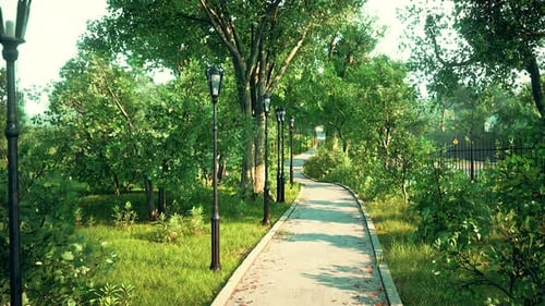 Walking Through a Lush Green Park Pathway
