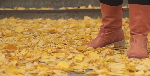 Boots Walking through Autumn Leaves