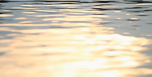 Golden Sunlight Rippling Across Gentle Water Waves
