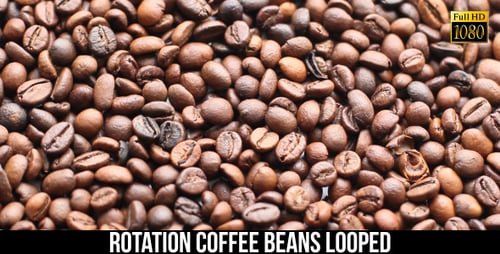 The Coffee Beans 12