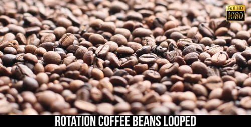 The Coffee Beans 13