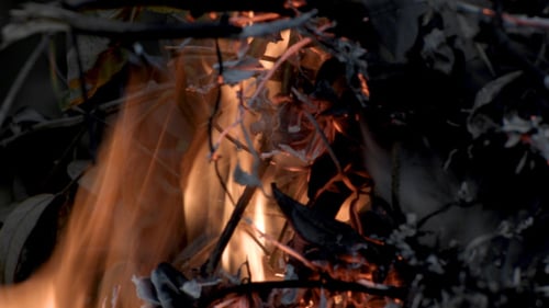 Fire