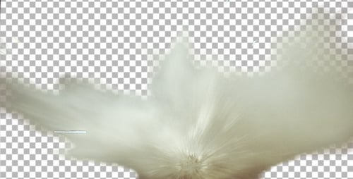 Explosión