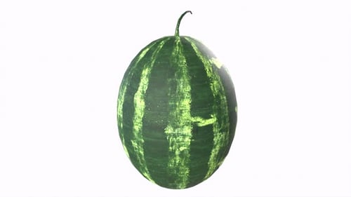 watermelon 3d object rotating loop