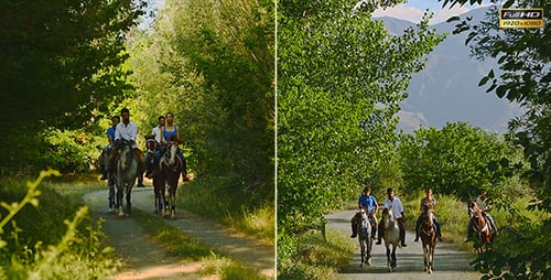 Group Horseback Riding Adventure Through Green Forest