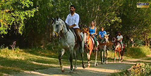 Horseback Riders Travel on Rural Path