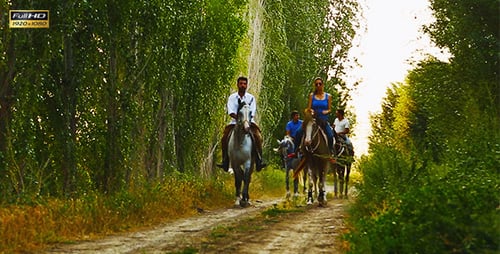 Group Riding Horses on a Rural Path