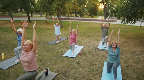 Elderly People Practicing Yoga with Female Teacher Outdoors in Park