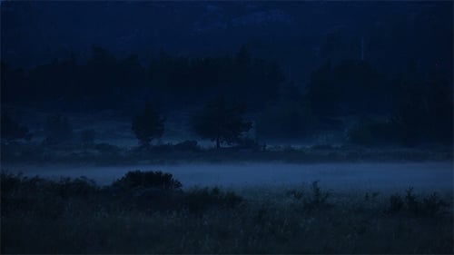 Fog Rolls Over Empty Field at Night