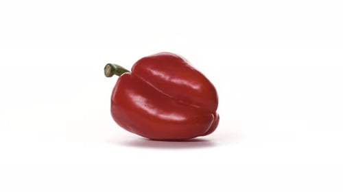 Glossy Red Bell Pepper Rotating on White Background