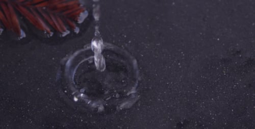 gouttes d'eau
