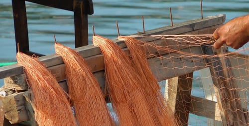 Fishnets Fishing Lines