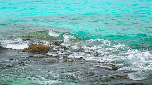 Ocean Shore