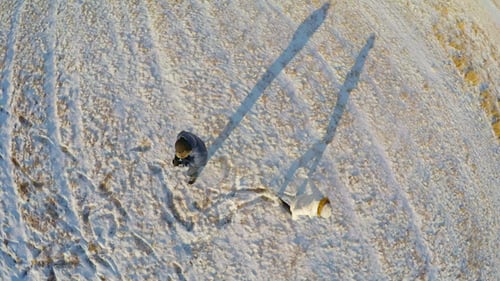 Pessoas se divertindo no campo 4