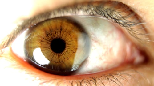 Großes Auge 02