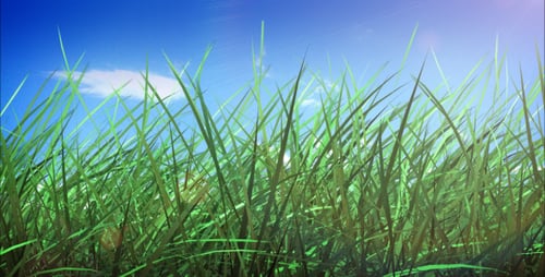 Grass and sky