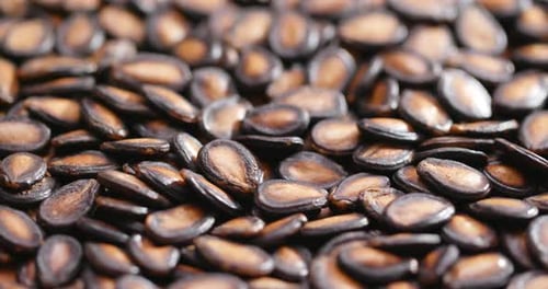 Close-up of Roasted Watermelon Seeds