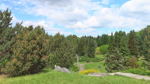 Landscape