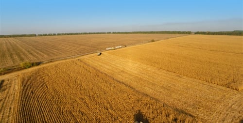 Agriculture Equipment Harvesting Crops in Rural Field