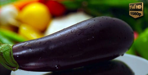 Shiny Wet Eggplant Rotating in Studio Close-Up