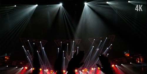 Dynamic Concert Lights with Audience Silhouettes