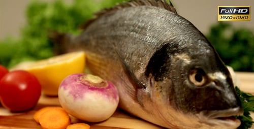 Fish
