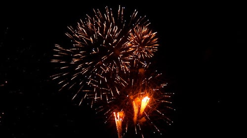 Vibrant Fireworks Exploding in Night Sky Celebration