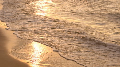 Sea Waves and Sunny Reflections