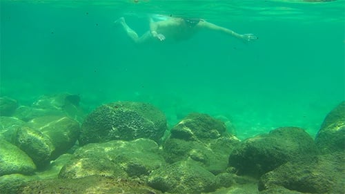 Snorkeling