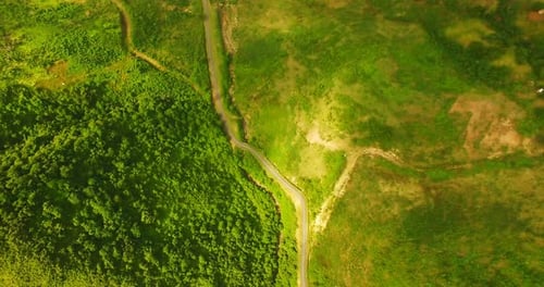 View of beautiful green landscape