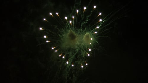 Firework Background 06
