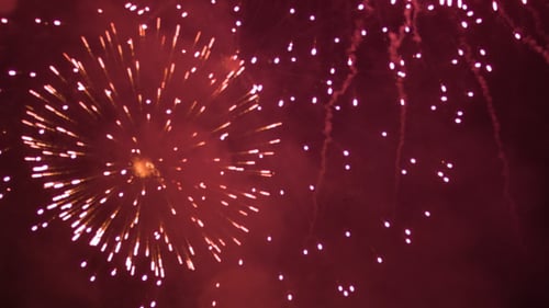 Brilliant Fireworks Exploding in the Night Sky