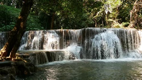 Waterfall In Nature