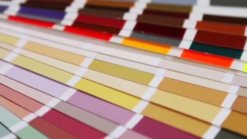 Paleta de muestras con colores brillantes