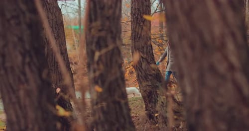 Hostess Walks the Puppy Near the River Holds the Dog By the Leash