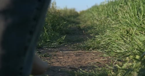 Barefoot Person Walking on Grassy Path in Countryside