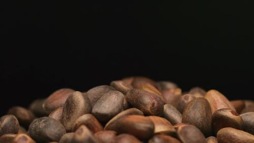 Pine Nuts Fall On A Heap