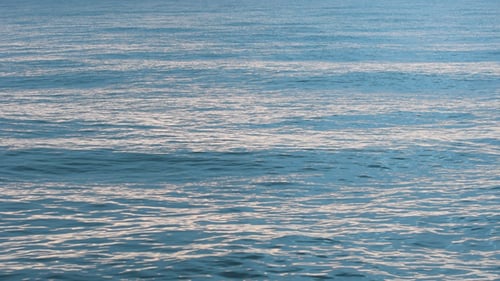 Sea Waves