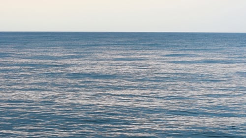 Sea Waves