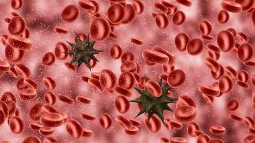 Microscopic Bloodstream Circulation with Red Blood Cells and Viruses