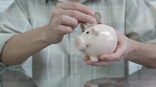 Ein wohlhabendes Sparschwein.