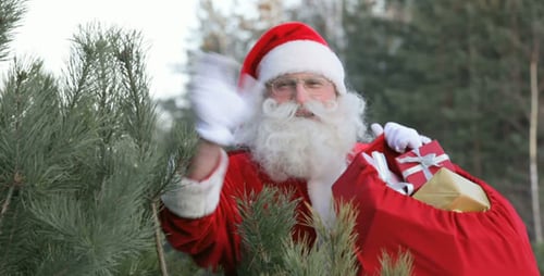 Santa in forest